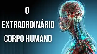 PORQUE O CORPO HUMANO É TÃO EXTRAORDINÁRIO?