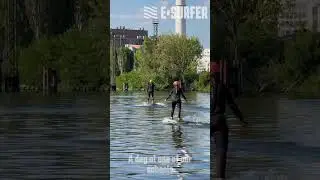 eFoil lessons Berlin