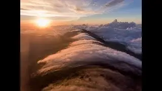 La Vie Sauvage du Macaya (10 minutes)