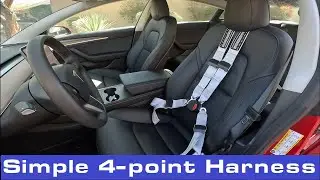 Schroth QuickFit Pro - Great 4 point harness for the Model 3