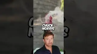 The Chuck's Norris #funnyvideo #funfacts #funnyfacts #showerthoughts #facts #chucknorris #funfacts