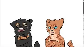 Hawkpaw's Training