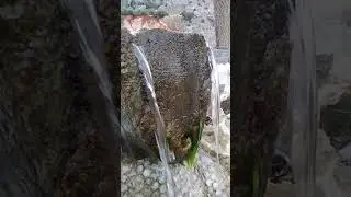 Slow Motion. Vestel Z10