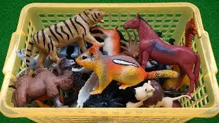 Modelo animal de plástico - Nome e sons de animais -  Sons de animais engraçados
