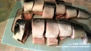 Как засолить скумбрию в домашних условиях