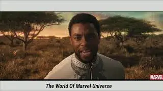 Black panther tribute || centuries