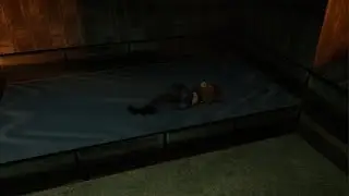 Deleted scene from the Classic - TR III Remastered