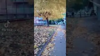 welcome automn #automne2022 #otoño #2022