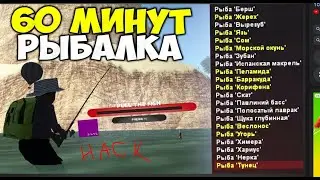 ОБНОВЛЕННЫЙ ПРИВАТНЫЙ ЧИТ НА РЫБАЛКУ НА ARIZONA RP SAMP / СКРИПТ ДЛЯ РЫБАЛКИ АРИЗОНА САМП 2024