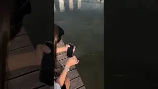 Инст (340к+) - @anasteysha_reels