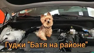 Мощный звуковой сигнал 