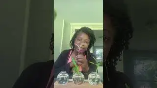 Quick DIY propogation station ideas for indoor gardening.