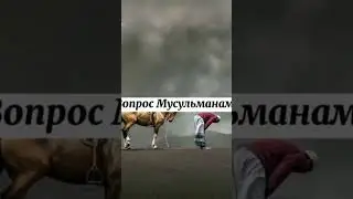 Вопрос мусульманам ч8 #islam #tiktok #popular  #shorts