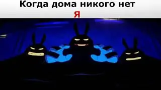 Когда дома один