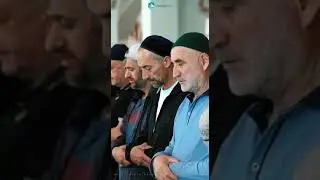 Саадуев Магомед Расул