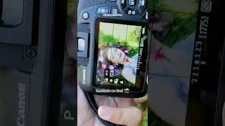 Foto Criativa 