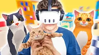 CATS HAVE INVADED THE HOUSE! - iplusd VR
