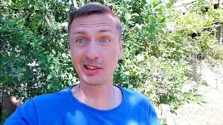 Новые дела в Доме на Юге и снимаю лапшу с ушей с некоторых подписчиков