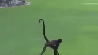 Вы где нахуй