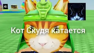 Кот Скудя катается