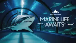 Antalya Aquarium: Dive into the Unknown