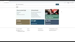 Sådan bruger virksomheder Lærepladsen.dk