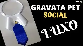 Gravata Pet Social LUXO - Fácil Demais (Sugestão de Preço)