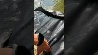 Выпускаем карпа. Рыбалка, карпфишинг. Карп, поймалотпусти. Karp fishing. Fishing. Plaice fishing.