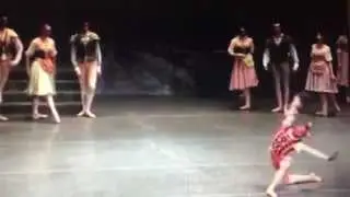 Christopher McDaniel as the Jester in Swan Lake