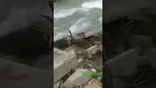 Табиати Водии Рашт Ясманд