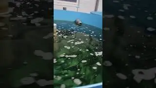 насыщение воды кислородом, и ее озонирование!