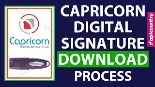 Capricorn Digital Signature Certificate (DSC) Download Process - Apicountry