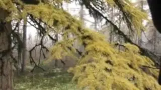 Айыы уола   Уруhуйдуубун