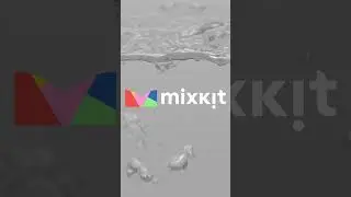 Free stock videos: search Abstract on Mixkit⁠.co⁠