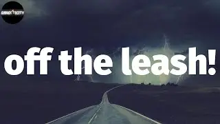 BabySantana - off the leash! (Lyrics)