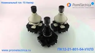 ПК12-21-801Д-54-УХЛ3 Переключатель крестовый, джойстик без фиксации с защитой от пыли