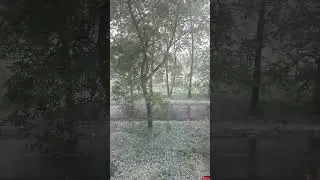 9.05.2024 ☃️❄️❄️❄️🎄