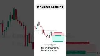 Learning = earning #crypto #cryptowatch #learning #dubai #newyork