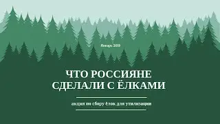 ЧТО РОССИЯНЕ СДЕЛАЛИ С ЕЛКАМИ ПОСЛЕ НОВОГО ГОДА SoulRay TV