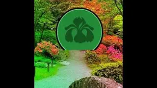 wonder blossom garden escape video walkthrough
