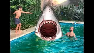 Shark Attack Before and after Visual effects 🦈🦈🦈