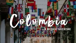 Colombia | Wildhive Dance & Service Adventure