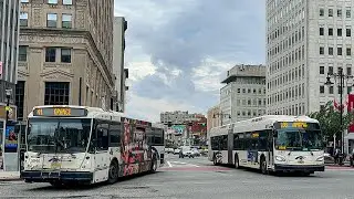 New Jersey Transit Bus Compilation in Newark New Jersey #5