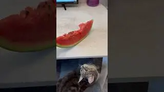 Нормально 