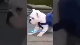Я плавать не умею😂!#shorts