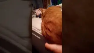 Sleeping on the edge of the bed 