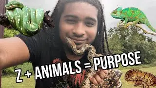 Why I'm An Animal Lover! 🐍🦎🐢 (Video Diary)
