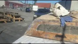 Pantera Limo- Update #3334