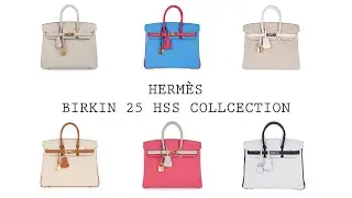 Hermes Birkin 25 HSS Collection• MIGHTYCHIC •