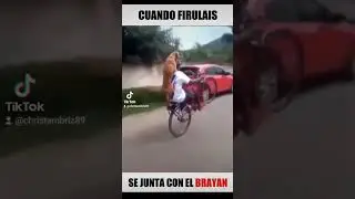 Firulais Con Bryan